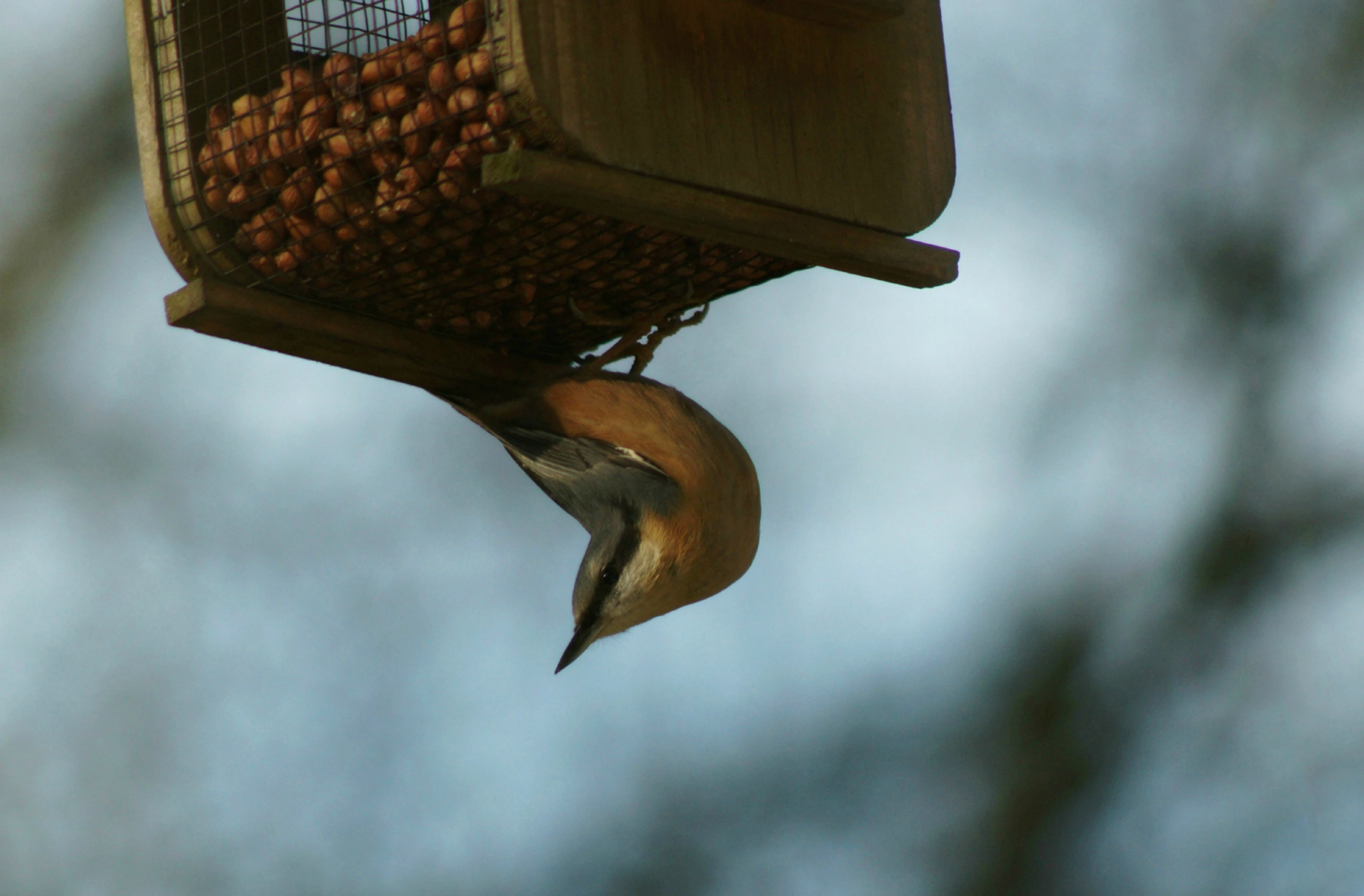 2. Grondig Informeren