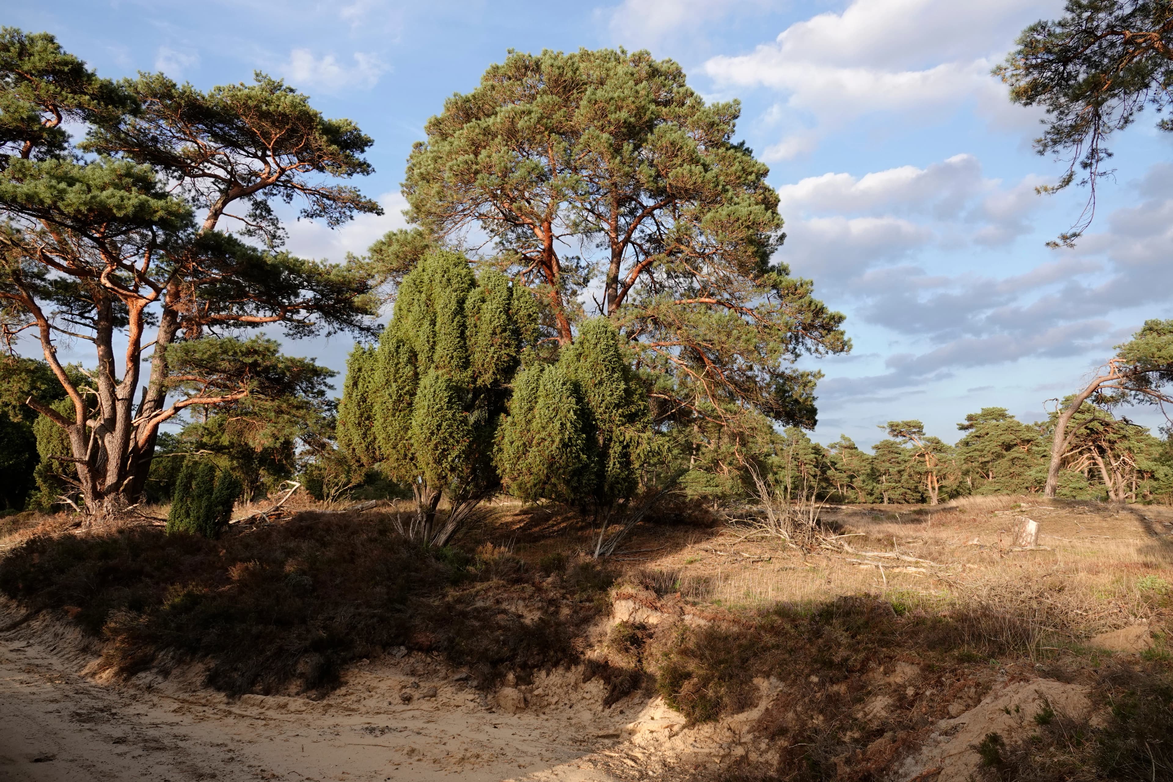 Handleiding voor leden
