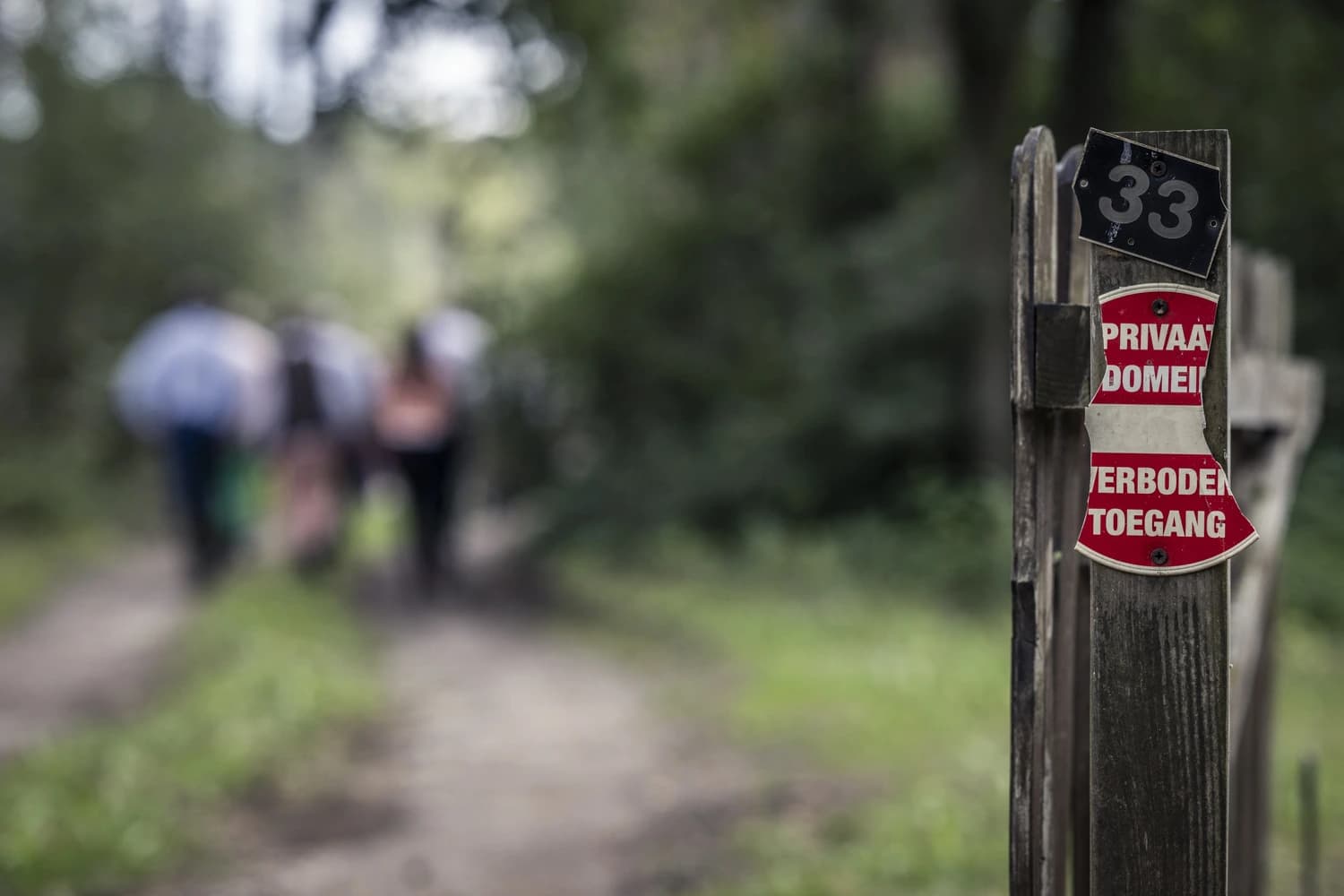 Landelijk Vlaanderen landschap