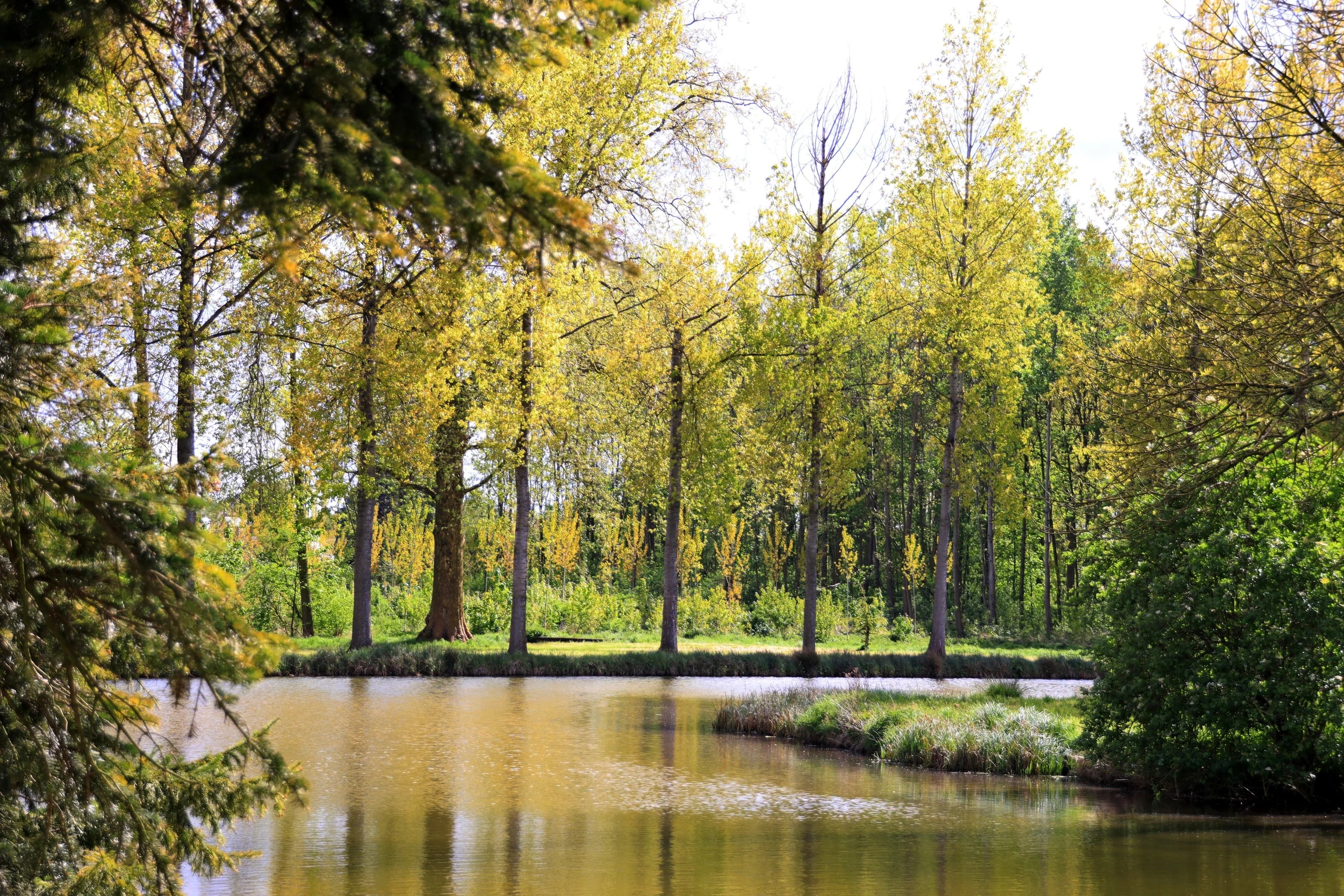 Landelijk Vlaanderen landschap