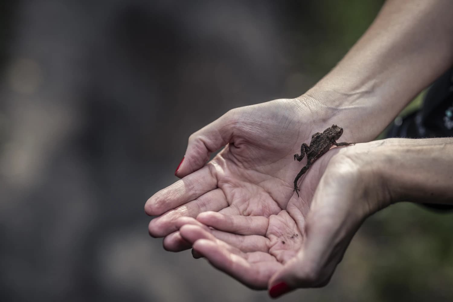 1. Persoonlijke betrokkenheid