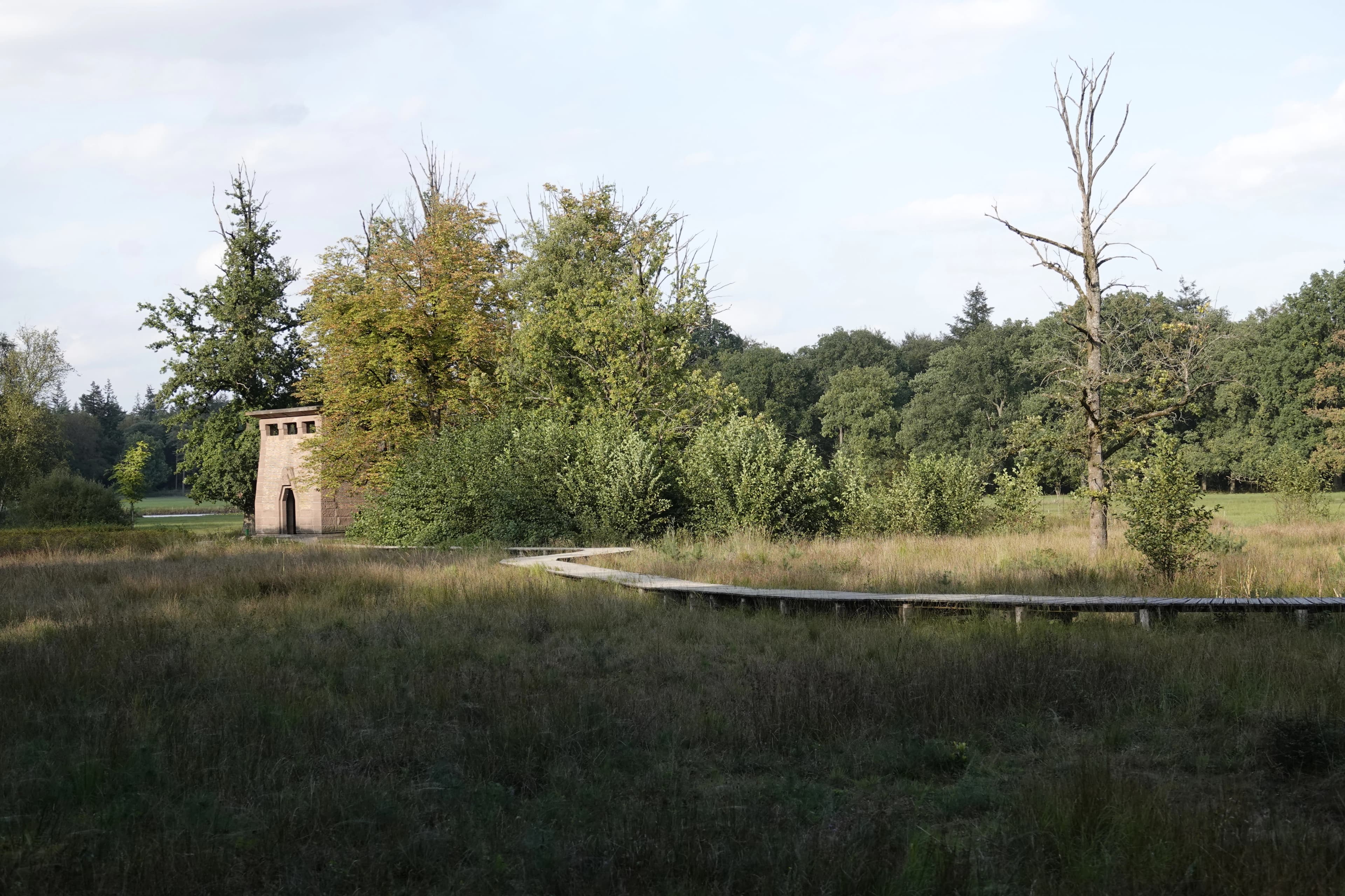 Thema ruimtelijke ordening