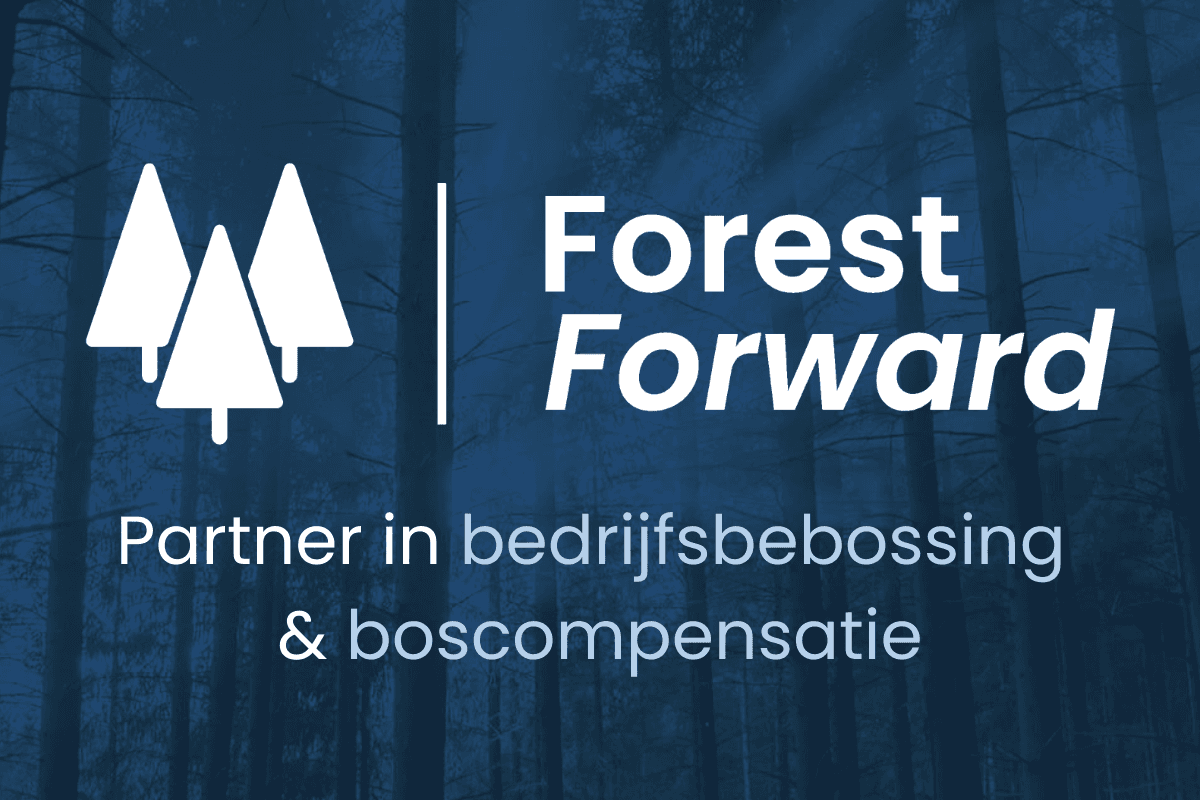 Forest Forward