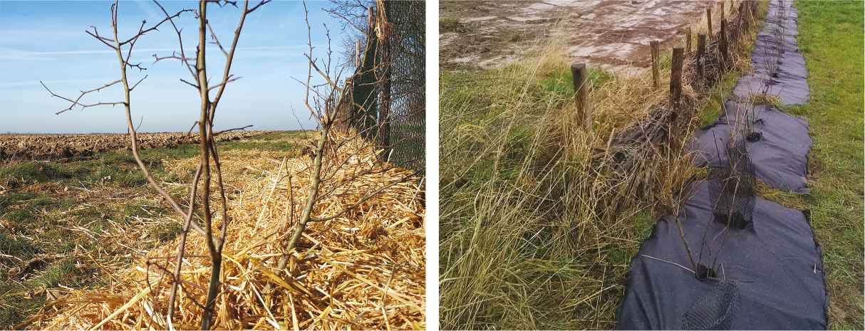 Tips om je terrein in te richten voor klein wild