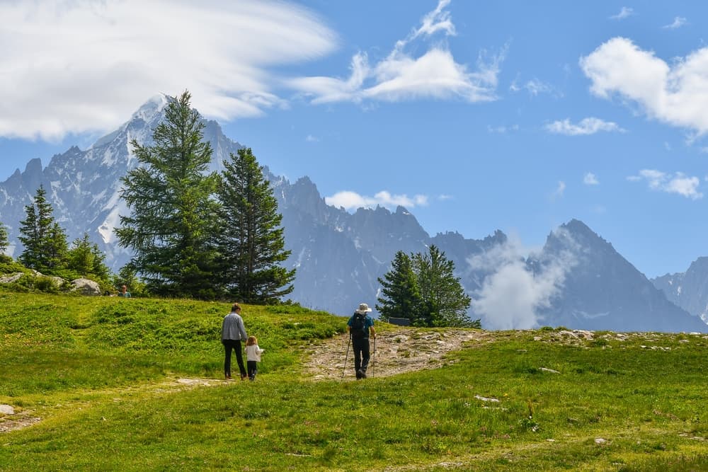 Van kostenpost naar verdienmodel: hoe financiële prikkels multifunctioneel landbeheer mogelijk maken