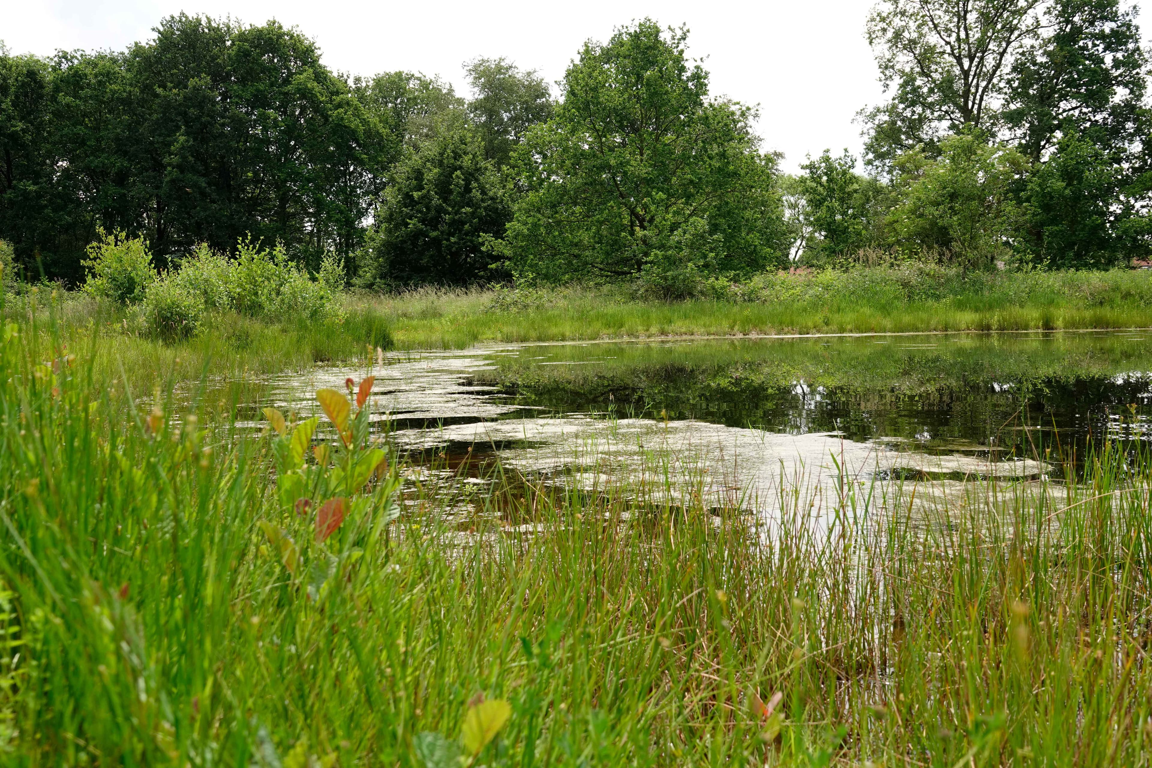 Privatief Adaptief: Waterbeheer op maat van de eigenaar