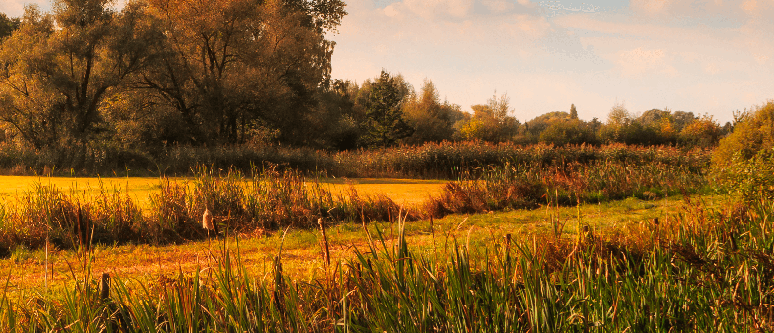 De toekomst van landbouw ligt in de bodem