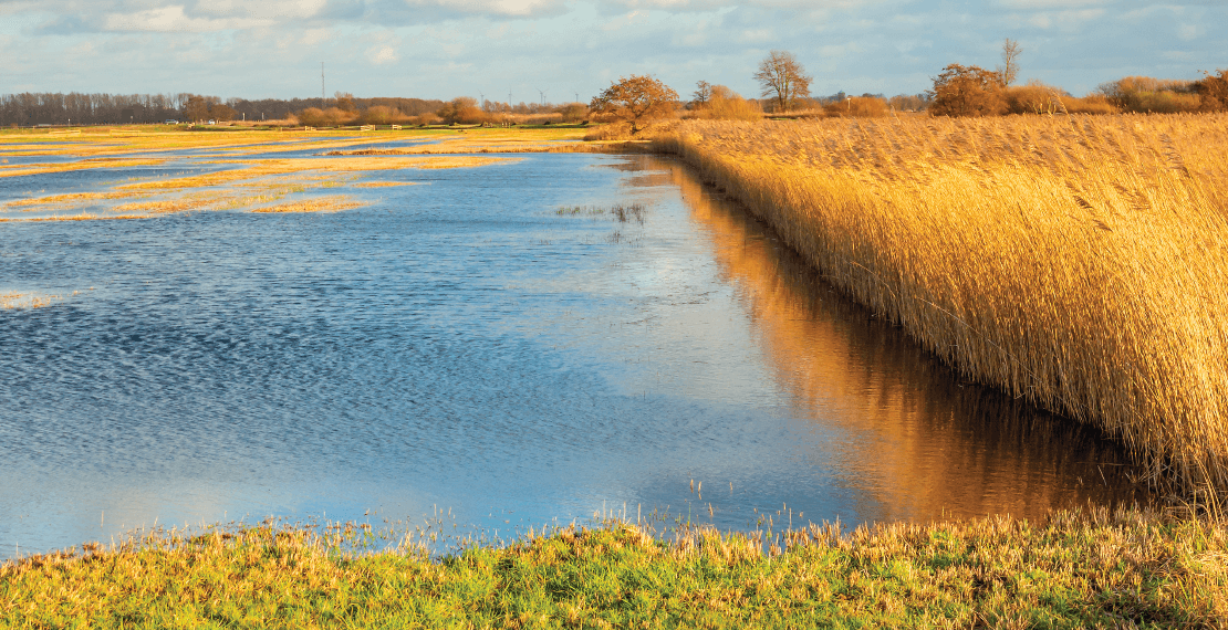 Grondwater stopt niet bij de perceelsgrenzen