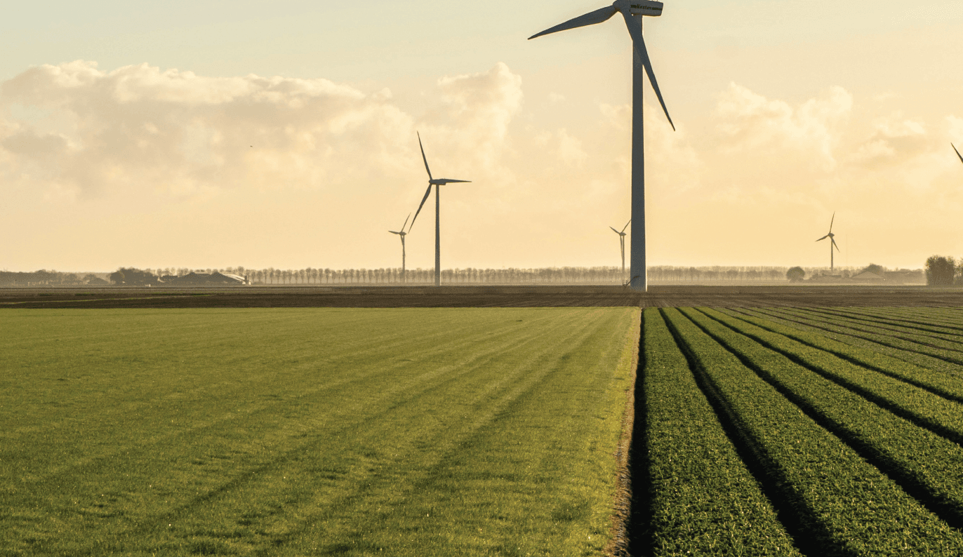 Verzilting van de polders